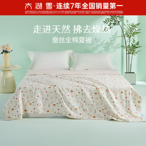 太湖雪100%蚕丝A类抗菌夏凉被