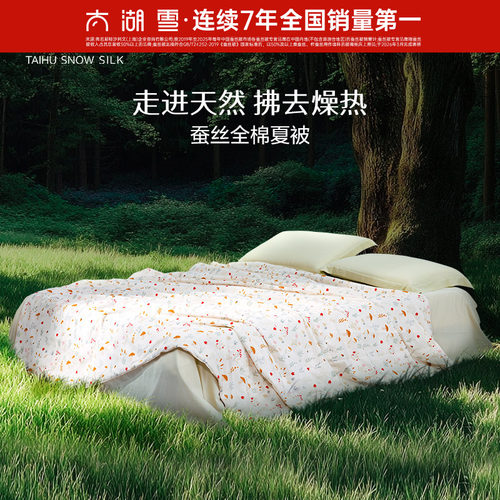 太湖雪100%蚕丝A类抗菌夏凉被