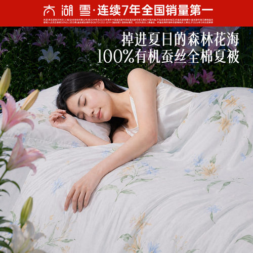 太湖雪100%蚕丝A类抗菌夏凉被