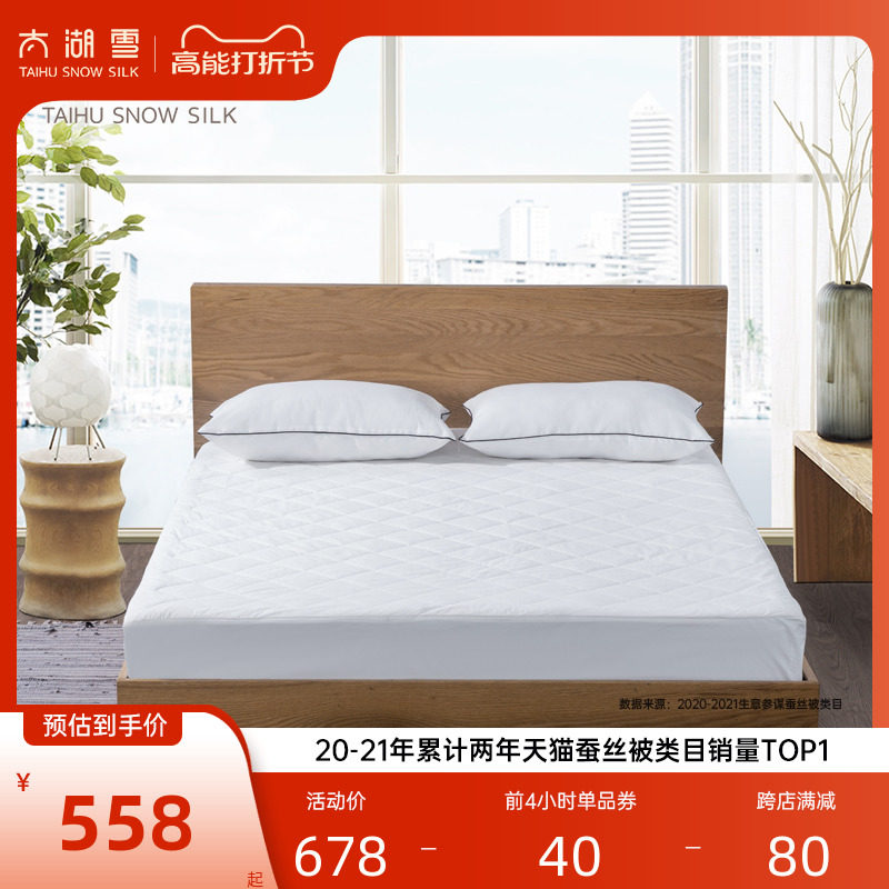 太湖雪蚕丝床垫床笠1.5米1.8米 加厚保暖防滑床褥 床罩防尘罩单人