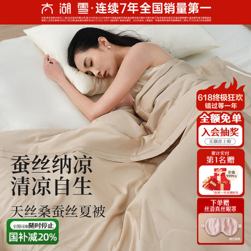 太湖雪100%桑蚕丝填充夏被