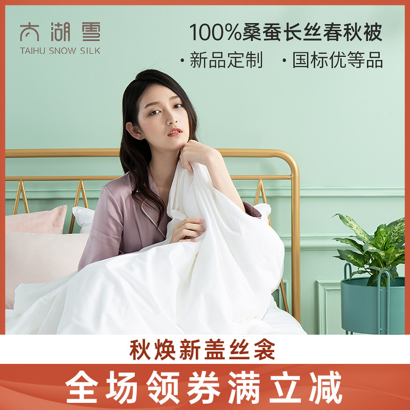 太湖雪蚕丝被100%桑蚕丝被子四季通用春秋手工被芯 家纺床上用品