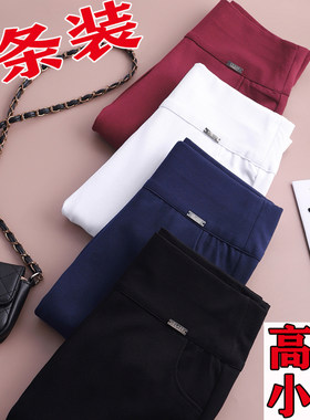 外穿打底裤春秋新款高腰胖MM大码