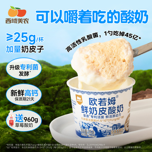 西域美农欧若姆奶皮子酸奶135g*6罐内蒙特产高钙奶制品非冷萃牛奶