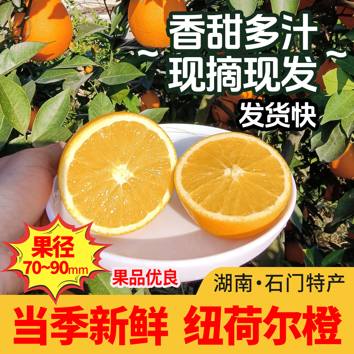 湖南石门正宗纽荷尔橙现摘现发净果9斤香甜多汁新鲜当季橙子脐橙