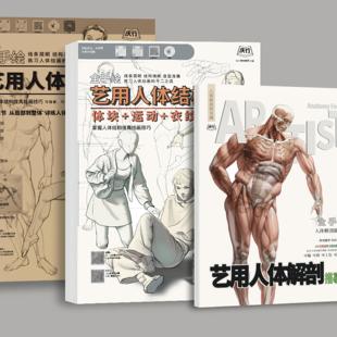 人體結構臨摹本 人體繪畫初學者練習冊 人體速寫描摹本