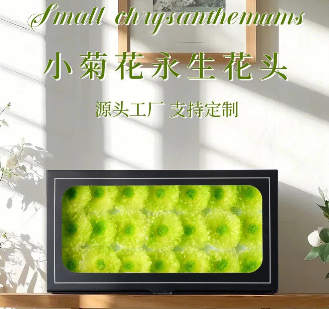 小菊花干花花头永生花仿真花客厅装饰摆设餐桌花拍摄道具手捧花