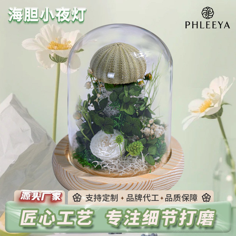 永生花玫瑰小夜灯diy手工摆件氛围高级感发光海星海胆水母灯