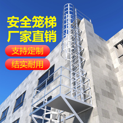 厂家直销护笼镀锌钢爬梯