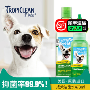多美洁漱口水狗狗洁齿水清新口气狗口臭牙结石牙垢宠物狗牙齿清洁