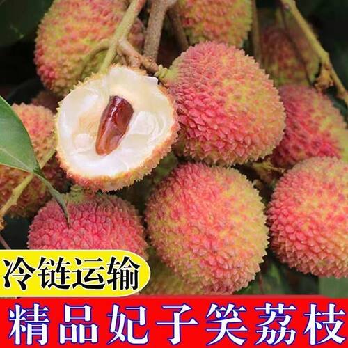 果园直销批发价发货新鲜热带高山品质孕妇水果当季现摘妃子笑荔枝