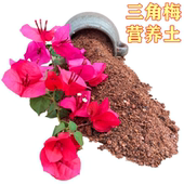 三角梅专用土弱酸性盆栽家庭园艺栽培土木本植物有机蓬松营养土