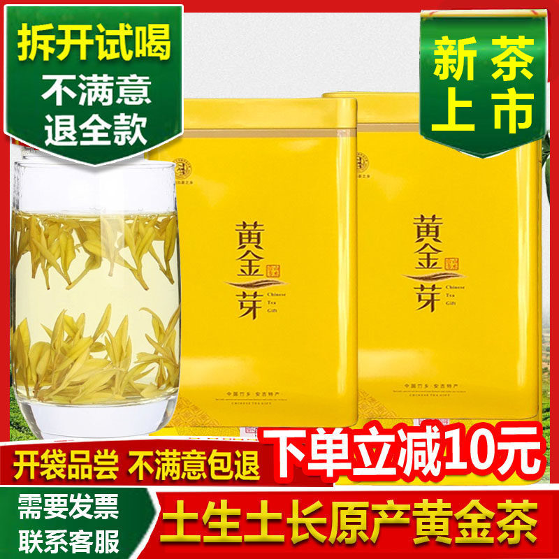 新茶叶黄金叶250克黄金芽产地