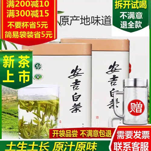 明前白茶250克罐装特级产地春茶