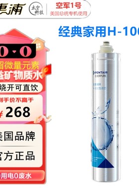 PENTAIR滨特尔EVERPURE爱惠浦主滤芯H-100C家用净水器过EV961116
