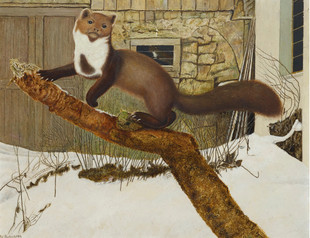 A292【瑞士】迪特里希（Adolf Dietrich）高清美术绘画网传图库