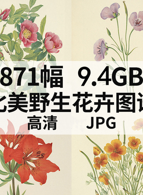 M287【美国】沃尔科特玛丽沃克北美野生花卉图插图片电子版画图库