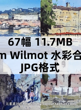 Tim Wilmot 水彩风景街景建筑水彩临摹图片素材 绘画参考67P