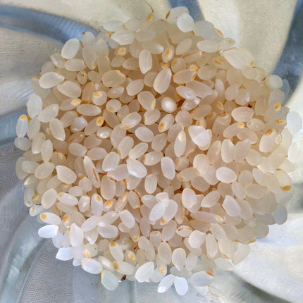 QQ圆粒米（2025年秋）10斤装胚芽米（胡子农场直供，现磨现卖）