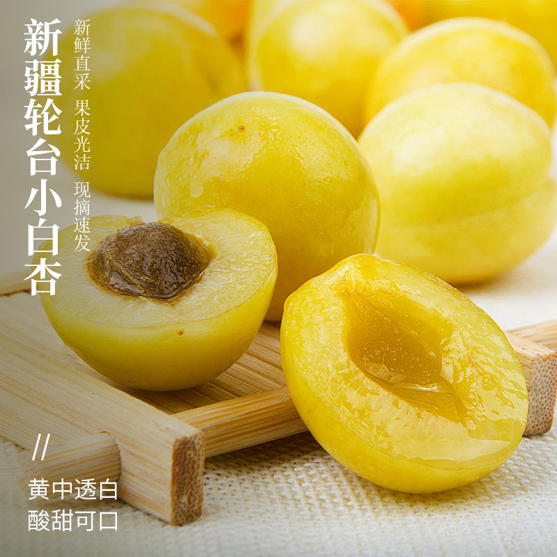 新疆轮台小白杏现摘先发顺丰