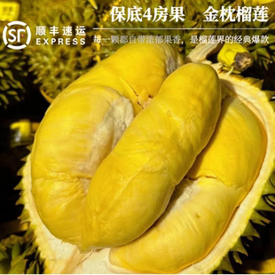 张小猪 泰国进口金枕榴莲保底4房果老树榴莲整个带壳软糯香甜顺丰