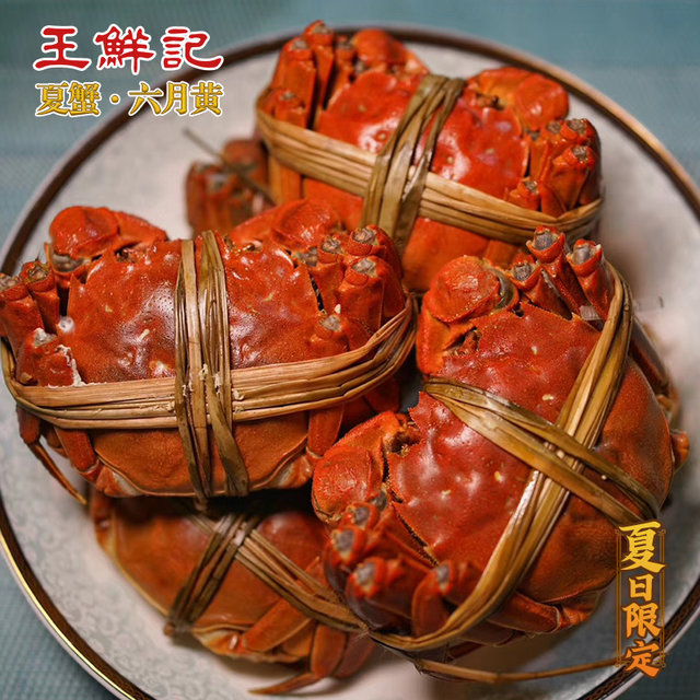 王鮮記扁擔(dān)姐揚(yáng)州高郵湖鮮活六月黃公蟹2.0-2.4禮盒裝6只