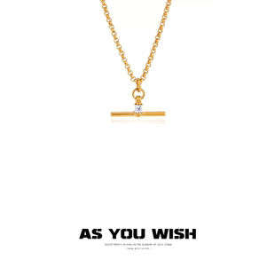 ASYOUWISH 小众设计轻奢时尚t型锆石吊坠项链高级简约独特锁骨链