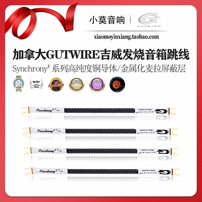 吉威Synchrony³系列音箱跳线