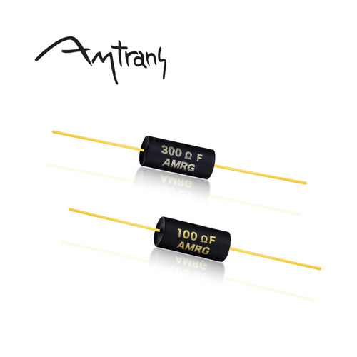 Amtrans安普朗斯AMRG2W系列电阻