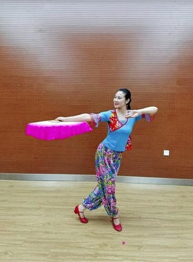 红草莞儿原创广场舞服 杨艺 格格 春英 王梅，37017 46102