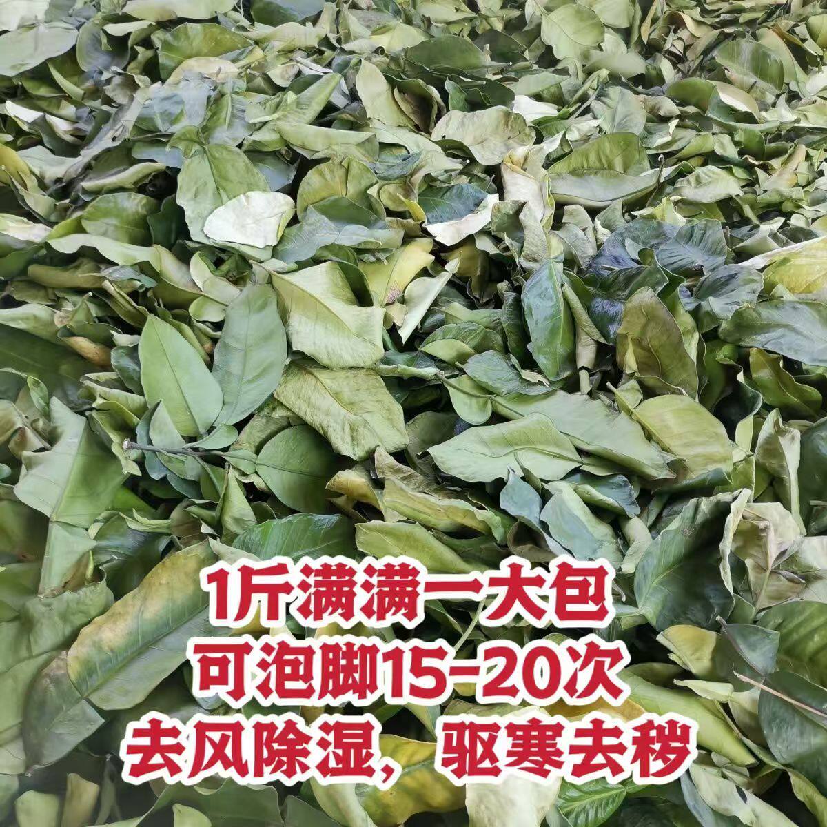 晒干柚子叶正宗广东叶儿粑泡澡洗澡祈福乔迁晒干绿叶粑粑干叶子