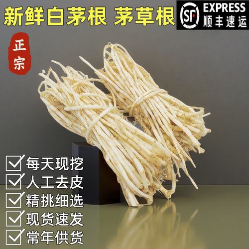 野生白茅根广东凉茶食材中草药