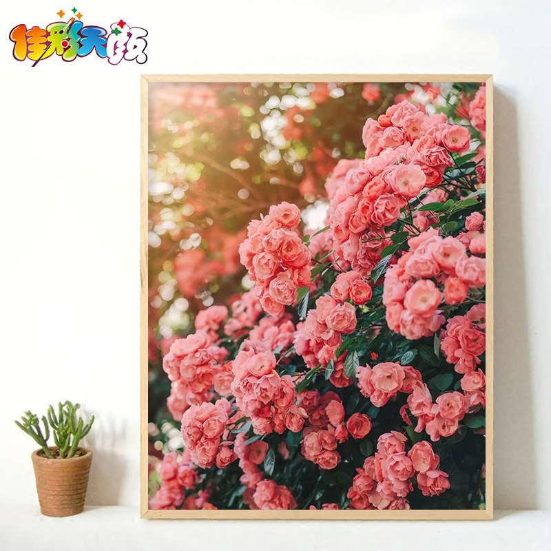 佳彩天颜 数字油画diy填充手绘粉蔷薇花墙植物花卉客厅装饰油彩画
