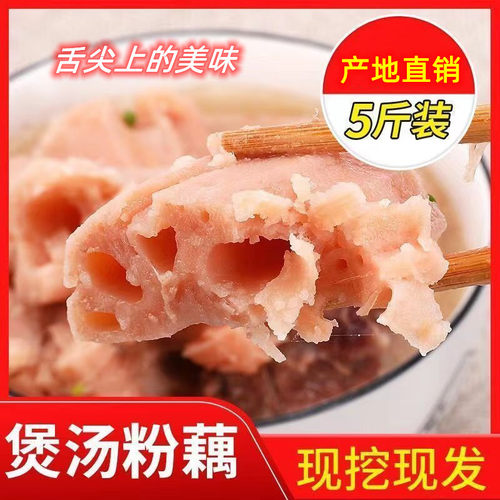 梦里乡味现挖新鲜莲藕煲汤粉糯