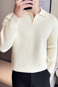 高级感秋冬加厚V领毛衣外套翻领针织Polo衫男装上衣白色M9556-P88图片