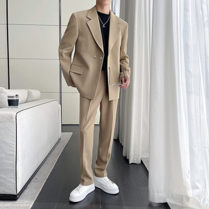 高级感西服套装男微阔两粒扣小西装垂感西装两件套LJT958-P235图片