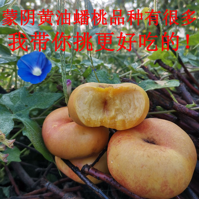 让你花一样钱吃更好吃的黄油蟠桃