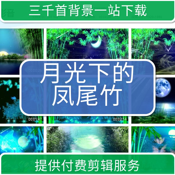 1346梦幻唯美学生艺术节演出月光下的凤尾竹竹林月光LED背景