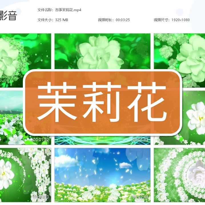 1012年会少儿演出古筝茉莉花高清LED素材背景