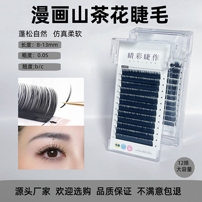 高品质漫画山茶花睫毛