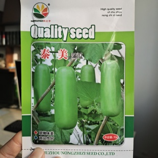 早熟短棒蒲瓜种子瓠子瓜种子寿光蔬菜种子瓠子瓜特菜瓠子瓜葫芦籽