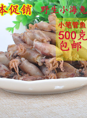 新货特价小海500克水产笔管鱼