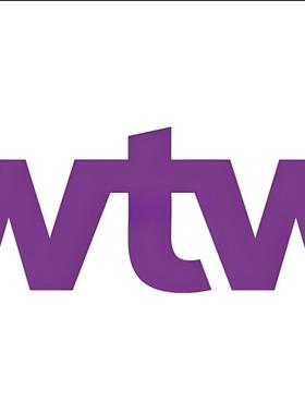 WTW韦莱韬悦Willis Towers Watson 网测测试ot 面试vi 题库 亲测