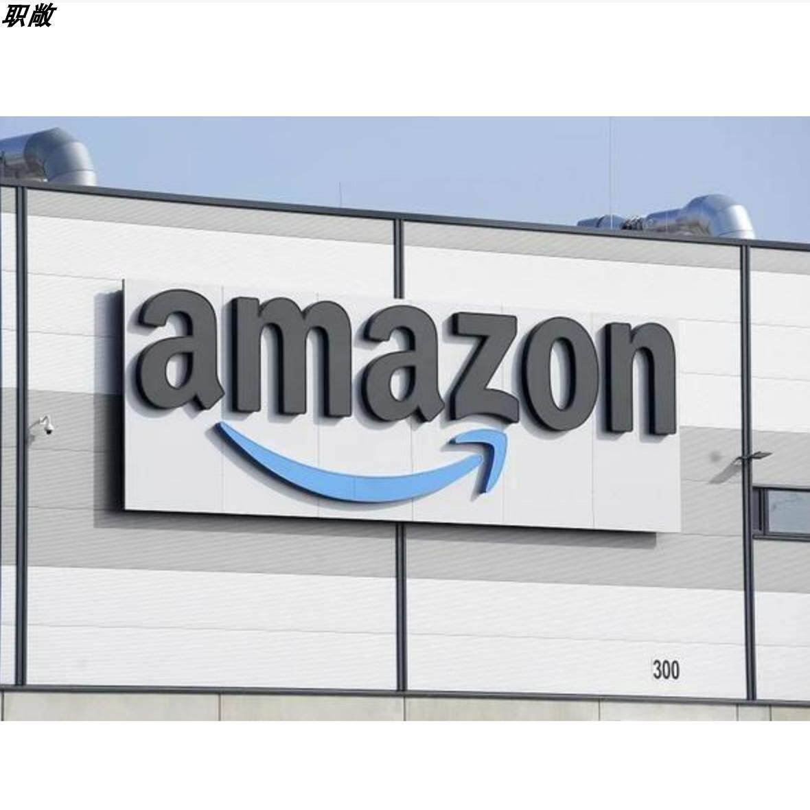 AMAZON招聘测试网测test ot vi amazon面试网测题库 亲测有用