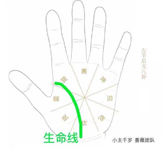 中医手诊  通过手掌判断身体 观手知健康感恩节母亲节