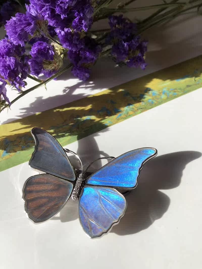 Japan condensation technology Butterfly specimens magnet Brooch eulogia medium , pleasein the Accessories/Fashion Jewelry, Brooch  category - from Buy2taobao.com to provide professional Taobao agent buy service