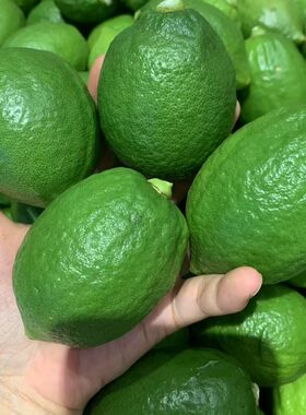 无籽广东香水柠檬多汁奶茶店专用