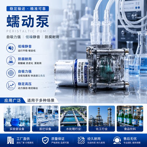 大流量蠕动泵易装型蠕动泵12V/24V计量泵真空泵500ML/min