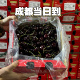 礼盒装 包邮 智利4J科迪亚车厘子原装 5斤新鲜水果现货樱桃顺丰