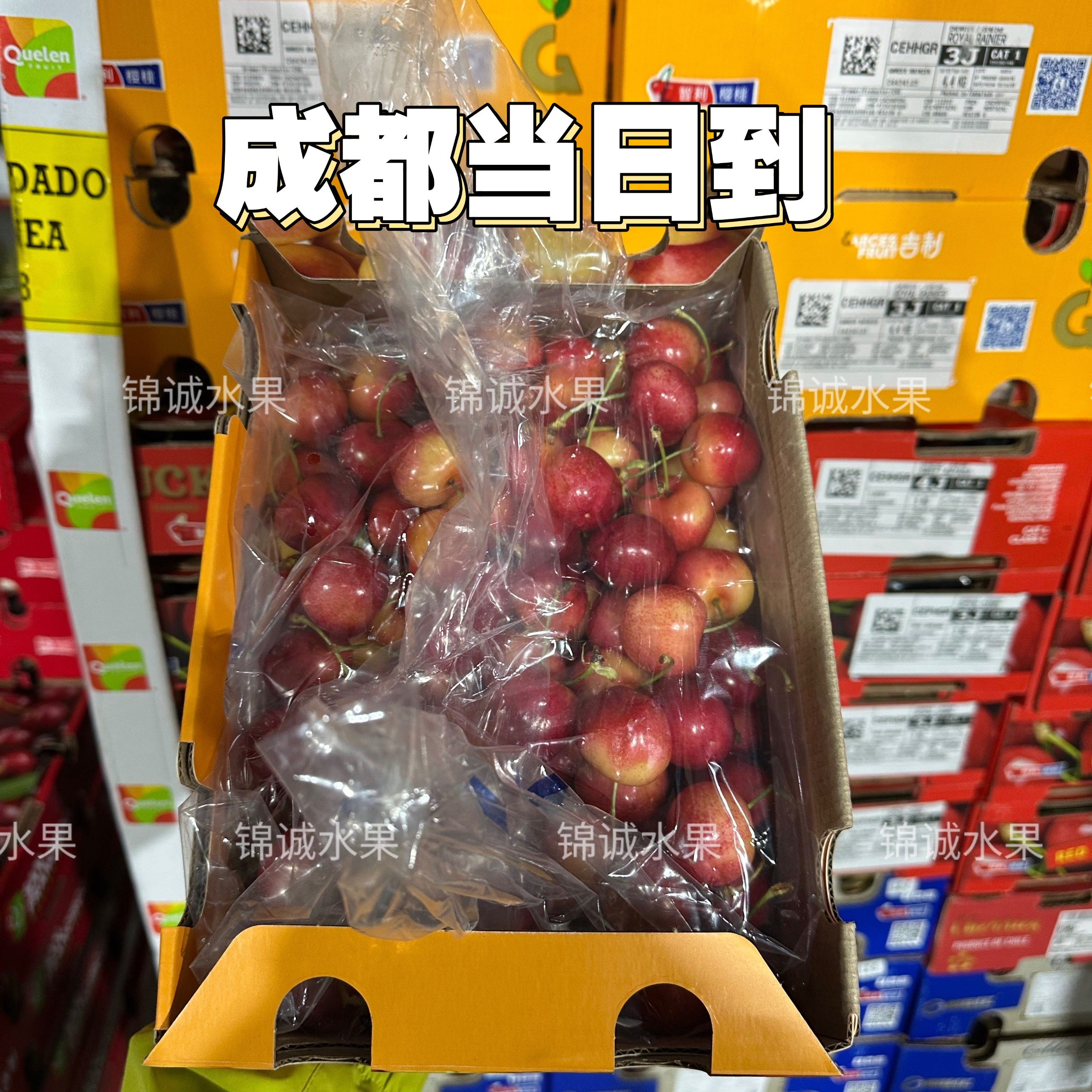 智利空运4J雷尼尔车厘子原装礼盒4.4斤Rainier品种新鲜水果发顺丰